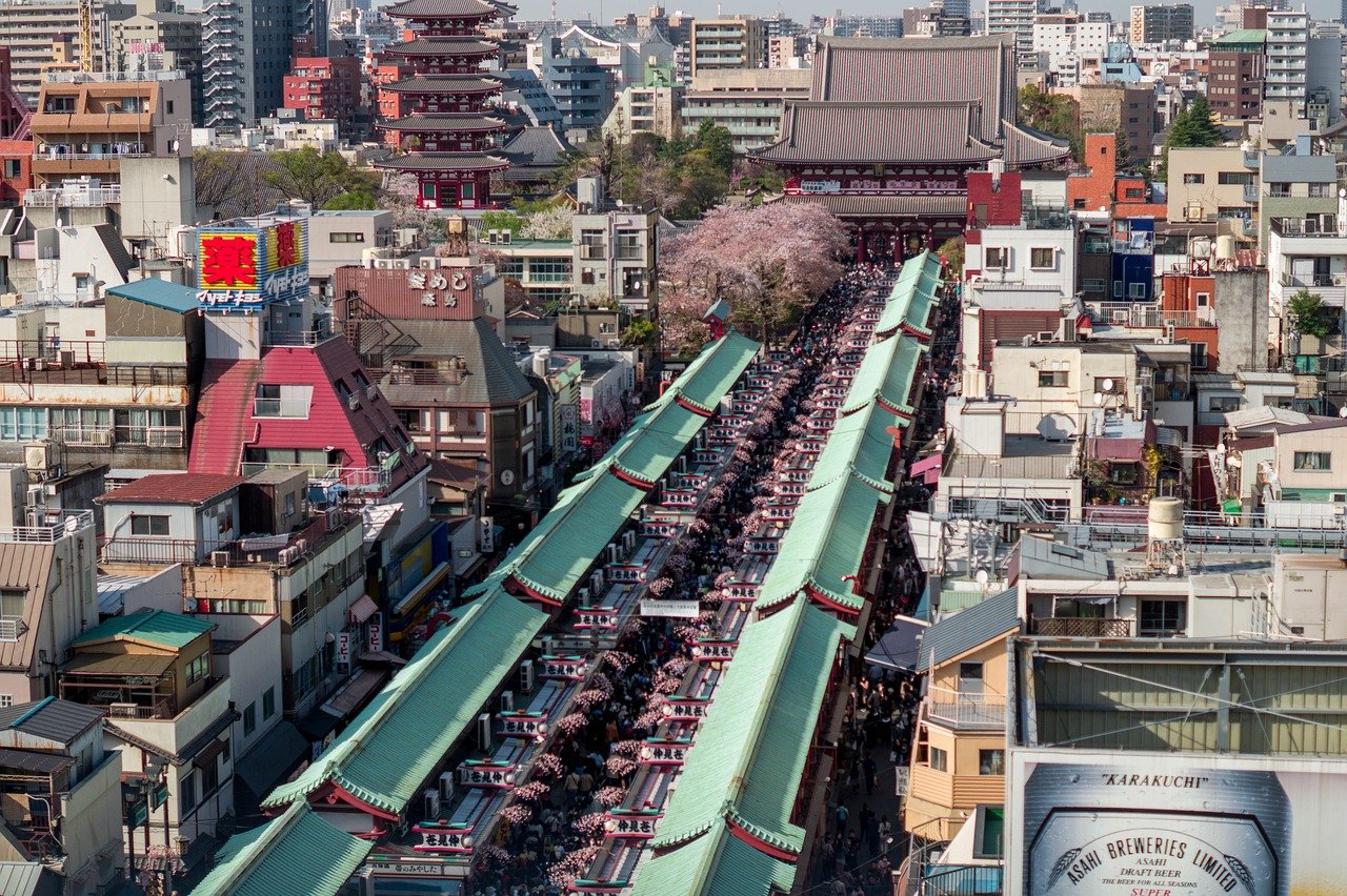 七台河高考后的新路径：为何选择去日本留学成就未来？
